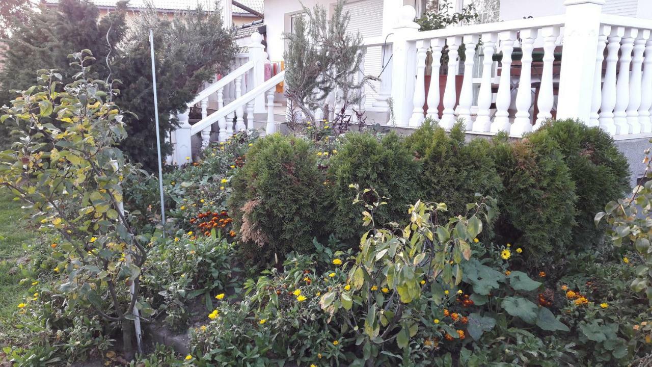 Apartamento Leon'S Silberwald Strasshof an der Nordbahn Exterior foto